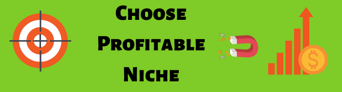Choose a Correct Niche